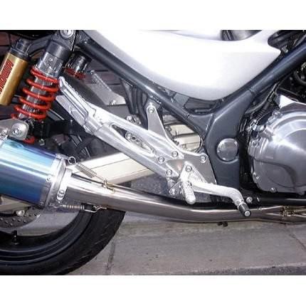 GSX250FX ハイパーバンク （固定式）シルバー BEET（ビート）