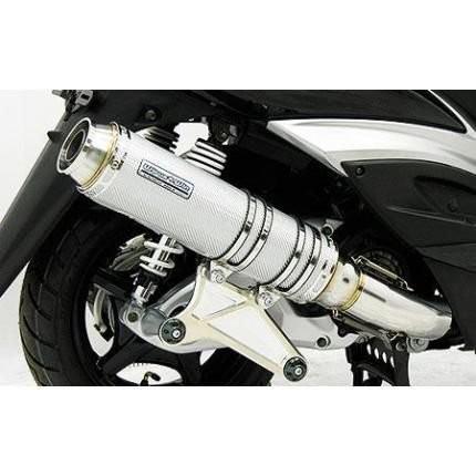 アルティメットマフラー シルバーカーボン仕様 ウイルズウィン（WirusWin） シグナスX（3型 台湾車：型式 SE465用）の画像