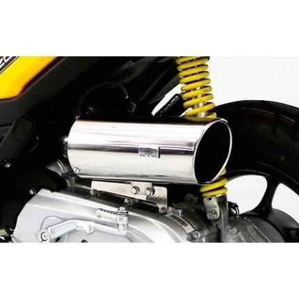 キャリパータイプ エアクリーナーキット ウイルズウィン（WirusWin