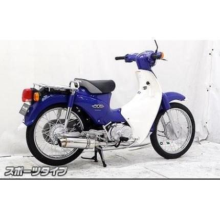 ロイヤルマフラー スポーツタイプ ウイルズウィン（WirusWin