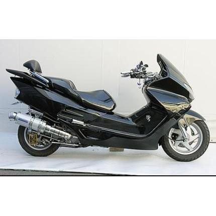 プレミアムマフラーシルバーカーボン仕様 ウイルズウィン（WirusWin）フォルツァ（FORZA）MF08