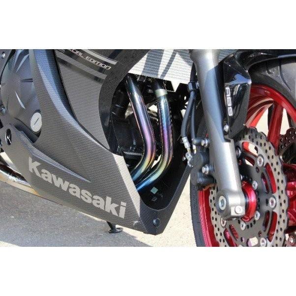 Ninja400（ニンジャ）14年〜 NASSERT Evolution タイプ2（ナサート