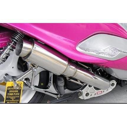 ハイパフォーマンスマフラー ウイルズウィン（WirusWin）マジェスティ