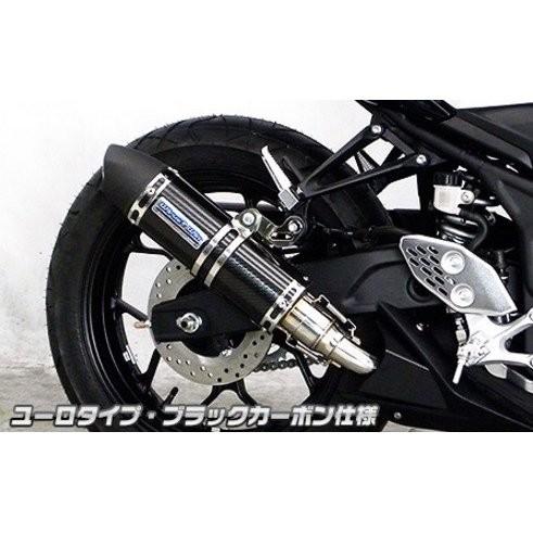 MT-25（JBK-RG10J・2BK-RG43J） スリップオンマフラーユーロタイプ ブラックカーボン（ヒートガード-ポリッシュ仕上） ウイルズウィン（WirusWin）