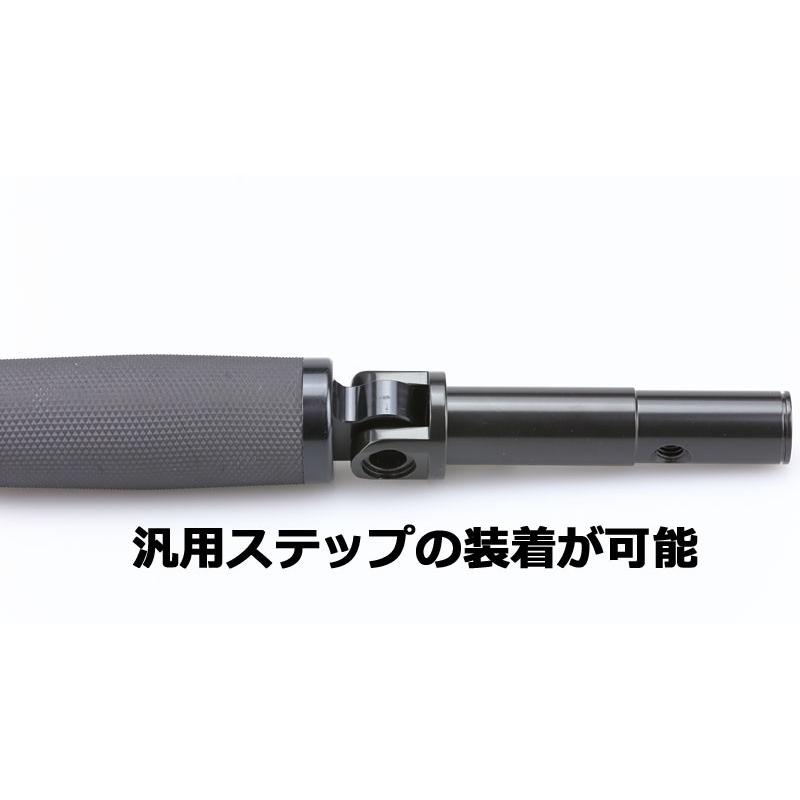 ステップホルダー 左右SET　ブラック KIJIMA（キジマ） XL1200X（11年〜）・XL1200C（12年〜）　