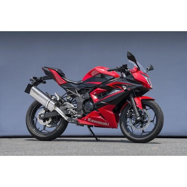 Ninja250SL（ニンジャ）15年〜 SUS SLIP-ON TYPE-SA（ステンレス