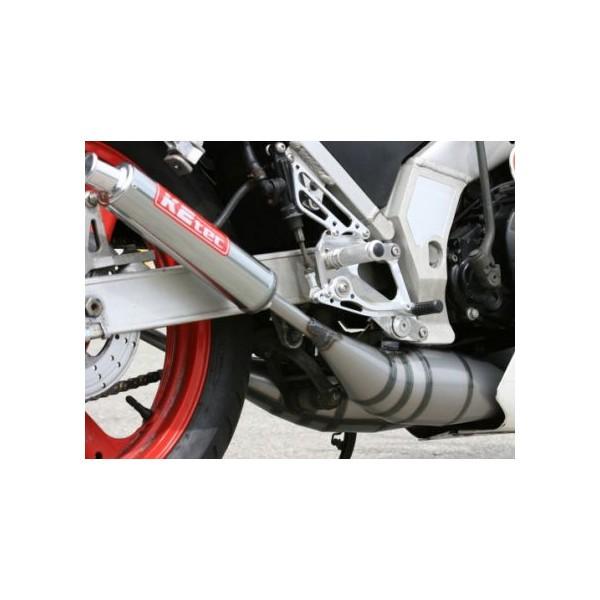 TZR250（1KT） スタンダードステンレスストレートチャンバー