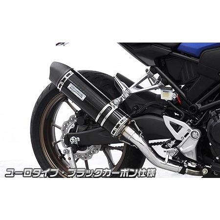 CB250R（8BK-MC52） スリップオンマフラー ユーロタイプ ブラック