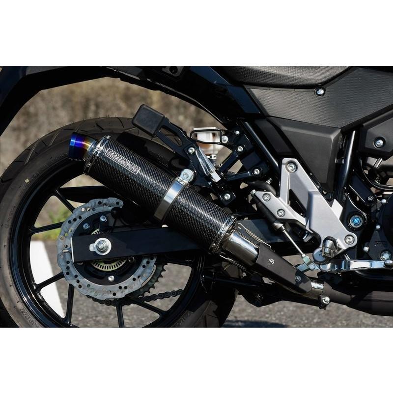 Vストローム250（V-Strom250） R-EVOカーボン スリップオン