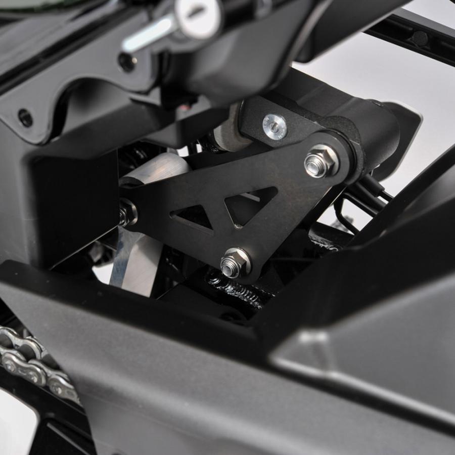 DAYTONA（デイトナ） Z900RS リアローダウンリンクロッド : バイク