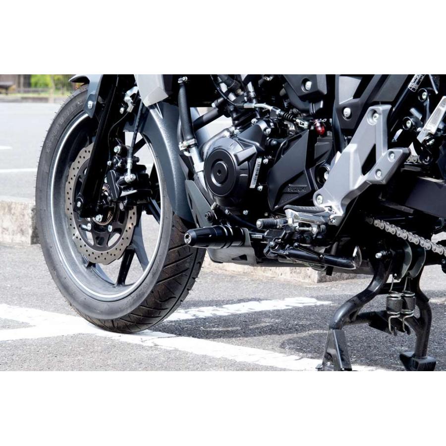 Vストローム250（8BK-DS12E） エンジンガード WORLD WALK（ワールドウォーク）_4