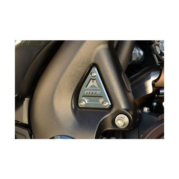 V-MAX1700 フレームカバー AGRAS（アグラス）