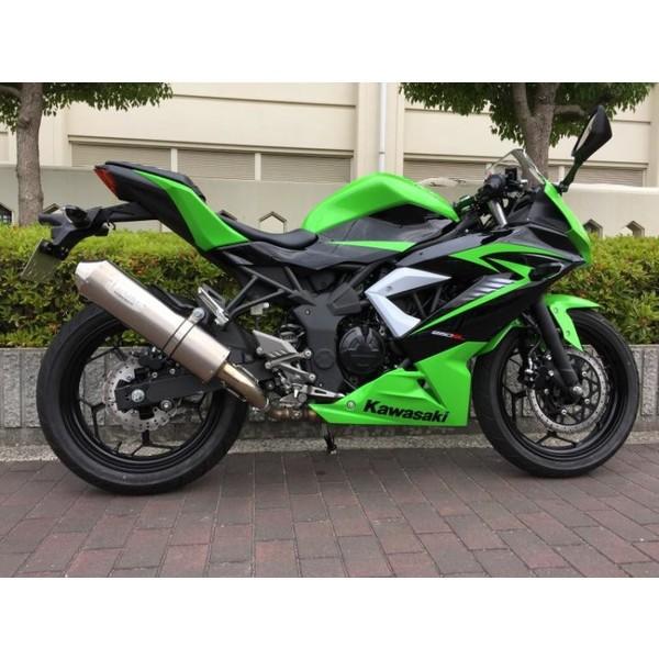 Ninja250SL（ニンジャ） エボリューションスリップオンマフラー チタン 政府認証 PENSKE（ペンスケ）(31350円)