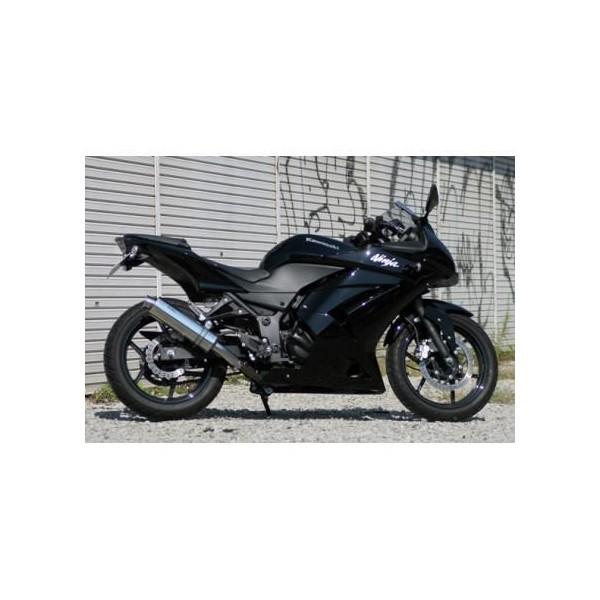 Ninja250R（ニンジャ） Aria ステンレスサイレンサー TypeC（カールエンド）スリップオン リアライズレーシング（RealizeRacing）