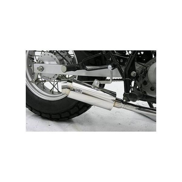 ドラッグバイソンマフラー スポーツタイプ ウイルズウィン