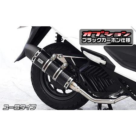 ロイヤルマフラー ユーロタイプ ブラックカーボン仕様