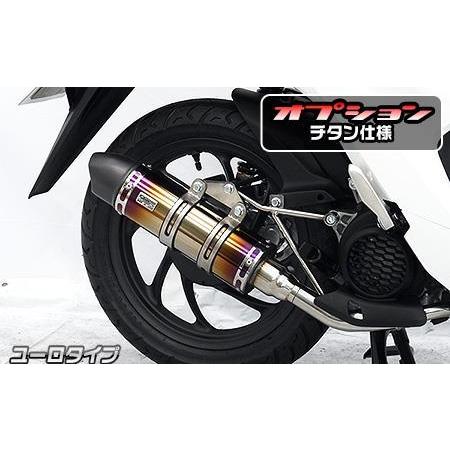 ロイヤルマフラー ユーロタイプ チタン仕様 ウイルズウィン（WirusWin