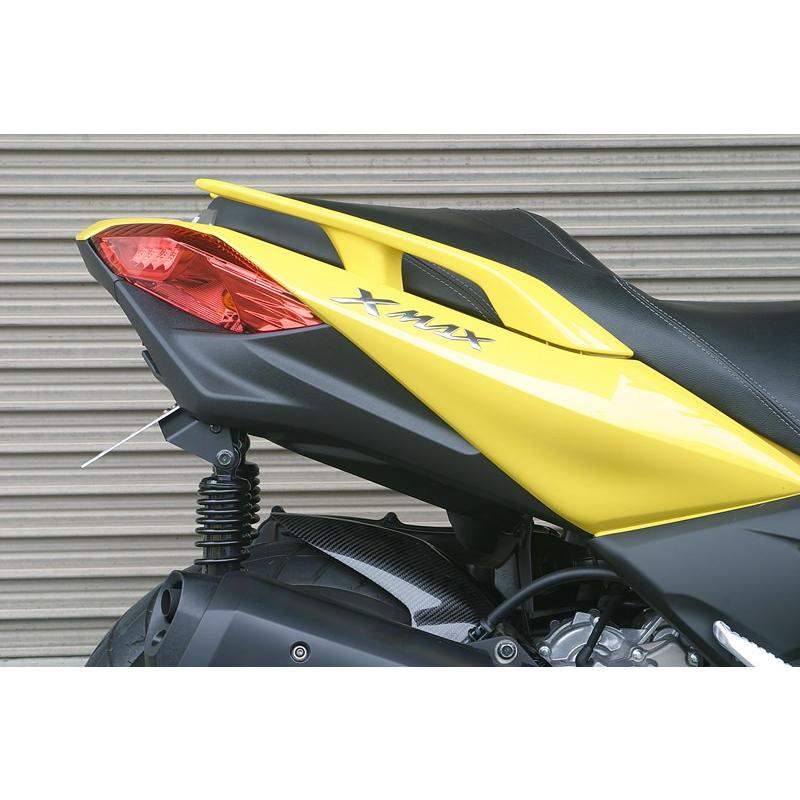 フェンダーレスキット ADIO（アディオ） XMAX250（2BK-SG42J