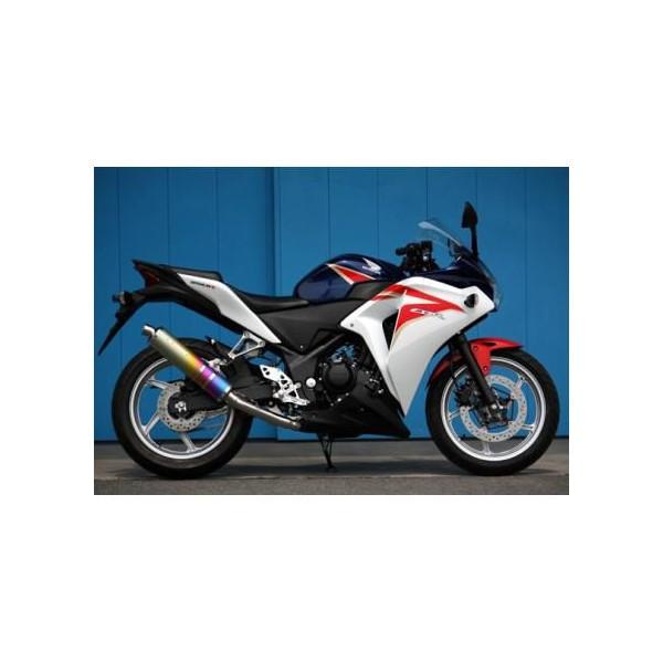 CBR250R ZERO SS ANO スリップオンマフラー MORIWAKI（モリワキ