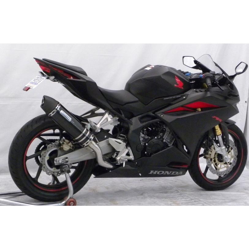 スリップオンマフラー ユーロタイプ ブラックカーボン仕様 ウイルズウィン（WirusWin） CBR250RR（2BK-MC51）