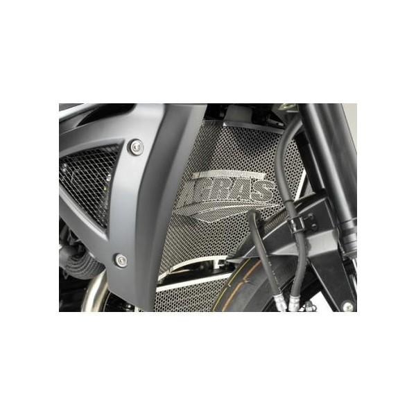 ラジエターコアガード AGRAS（アグラス） B-KING（GSX1300BK）の画像