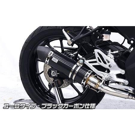 WirusWin YZF-R15 ダイナミックマフラー WirusWin（ウイルズウィン） YZF-R15（8BK-RG86J） ダイナミック