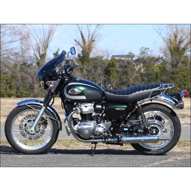 ガイラシールド スモーク Lサイズ CHIC DESIGN（シックデザイン） W800（20年）_1