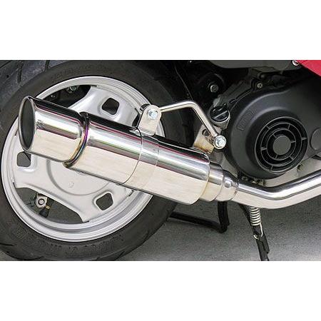 ロイヤルマフラー ポッパータイプ ウイルズウィン（WirusWin） レッツ