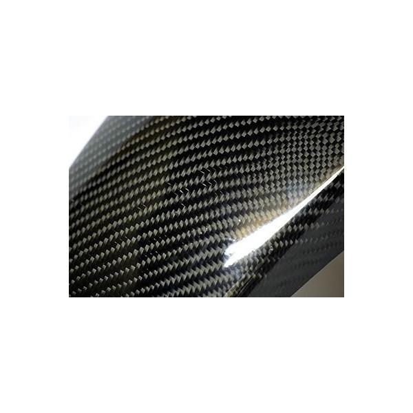 CBR250R（MC41） カーボンフロントフェンダー WORLD WALK（ワールド