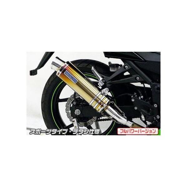 Ninja250R（ニンジャ）JBK-EX250K スリップオンマフラー スポーツタイプ チタン（フルパワーバージョン） ウイルズウィン（WirusWin）