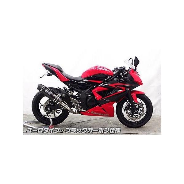専用商品 Ninja250SL（ニンジャ250SL） スリップオンマフラー ユーロタイプ
