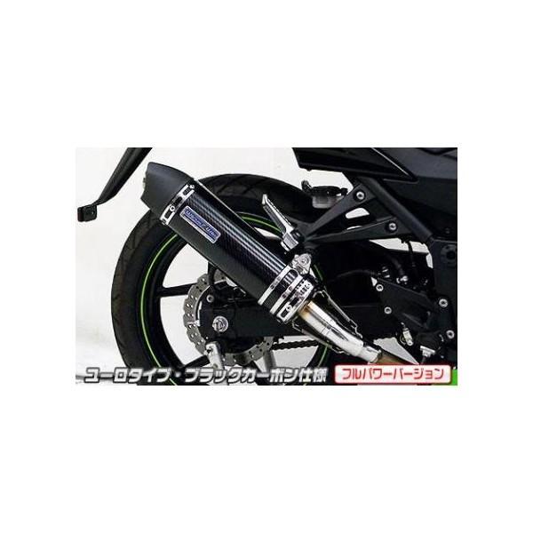 Ninja250R（ニンジャ）JBK-EX250K スリップオンマフラー ユーロ手あい 黒いこと炭素（フルパワーバージョン） ウイルズウィン（WirusWin） マフラー-スリップオンマフラー