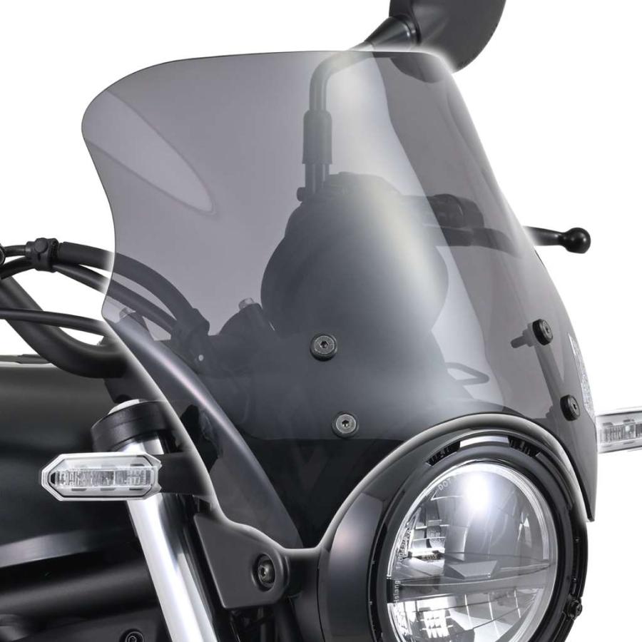 ELIMINATOR エルミネータ　デイトナ　ブラストバリアー　スモーク DAYTONA（デイトナ） ELIMINATOR（エリミネーター） ブラストバリアー