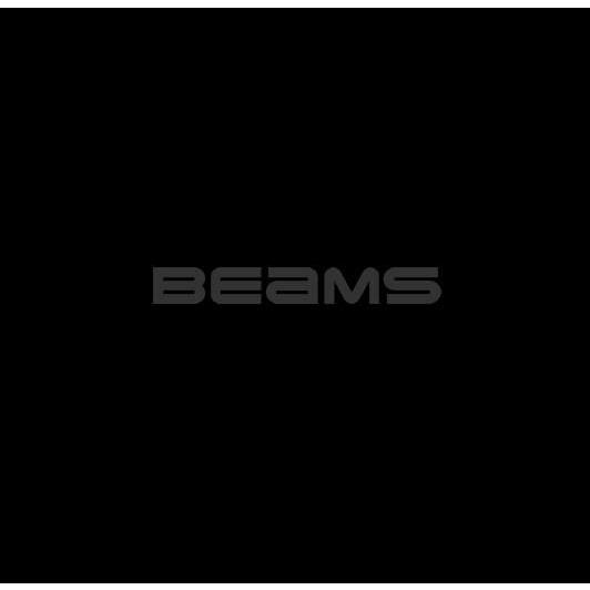R-EVO マフラー SMB（スーパーメタルブラック）サイレンサー 政府認証 BMS-R（ビームス） マジェスティS（2BK-SG52J）18年