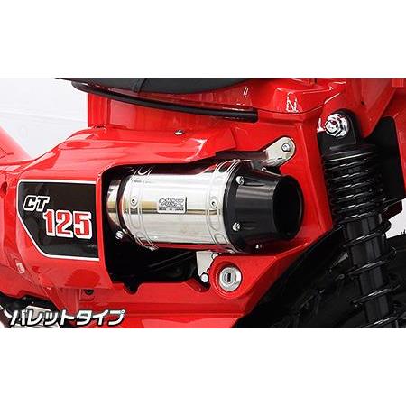 D-プライムエアクリーナーキット バレットタイプ ウイルズウィン