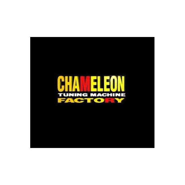 アドレスV125（ADDRESS） メガトン162オーバーサイズピストンキット chameleon（カメレオンファクトリー）