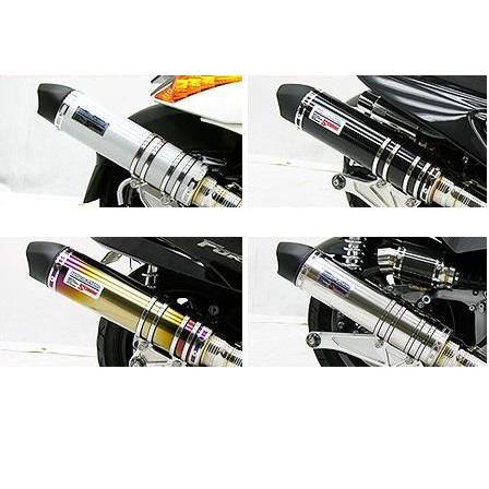 連絡用 ジェンマ（GEMMA） ビートイットマフラー チタン仕様 ウイルズウィン