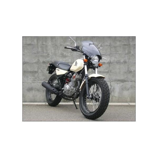 FTR223（00年〜） ガイラシールド Sサイズ スモーク CHIC DESIGN（シックデザイン）