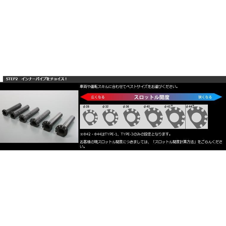 スロットルキット タイプ2 ホルダーカラー シルバー インナー巻