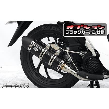 ロイヤルマフラー ユーロタイプ ブラックカーボン仕様 ウイルズウィン