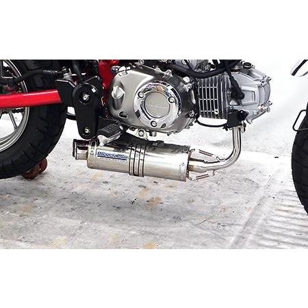 ツインテールダウンマフラー ウイルズウィン（WirusWin） モンキー125