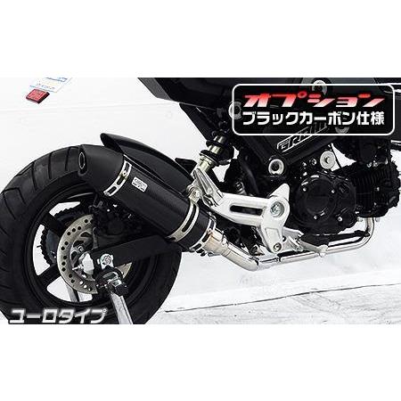 ロイヤルマフラー ユーロタイプ ブラックカーボン フル