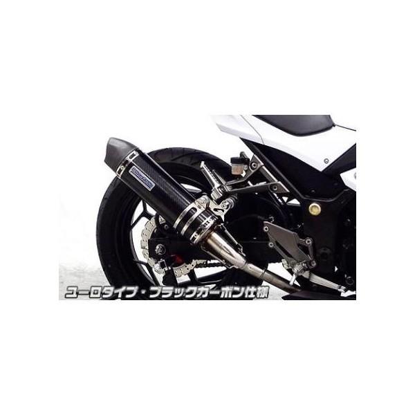 Ninja250（ニンジャ）JBK-EX250L スリップオンマフラー ユーロタイプ ブラックカーボン ウイルズウィン（WirusWin）