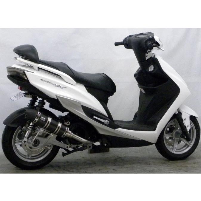 シグナスX 　4型 用 ロイヤルマフラー ユーロタイプ　　ウイルズウィン シグナスX（CYGNUS-X）4型 ロイヤルマフラー ユーロタイプ カーボン