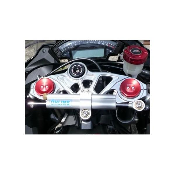 トップブリッジ AGRAS（アグラス） ZX-10R