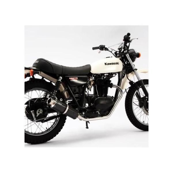 新入荷 流行 250TR インジェクション車 SS300カーボンマフラー BEAMS