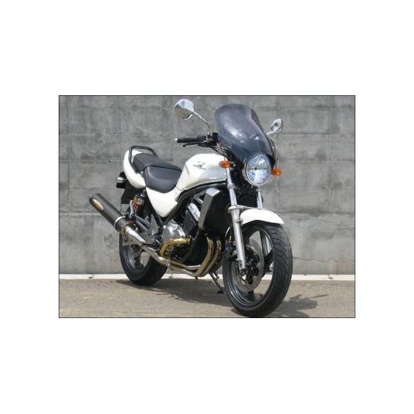 バリオスII（BALIUS-II）97〜07年 ガイラシールド Lサイズ