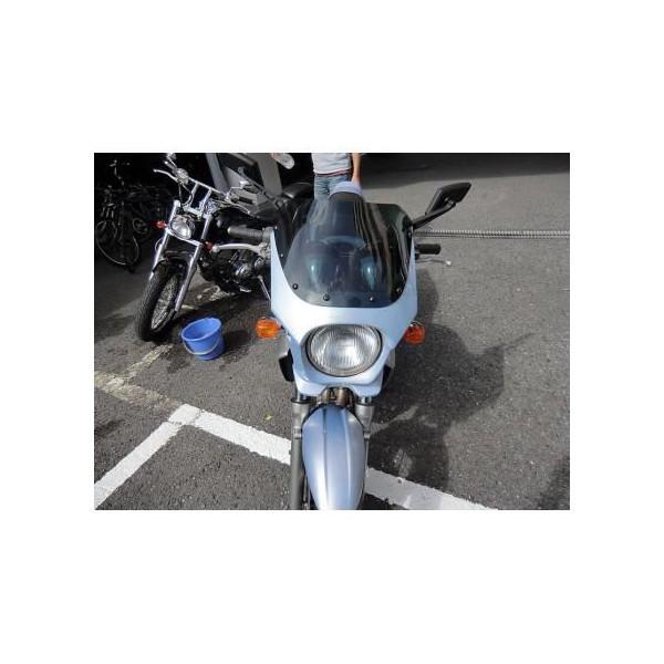 バリオス2（BALIUS） 汎用ビキニカウル DS-01 タイプR クリアスクリーン（ムーンライトシルバー）コード：473 WORLD WALK（ワールドウォーク）