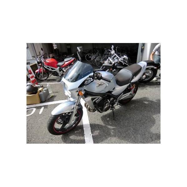 バリオス2（BALIUS） 汎用ビキニカウル DS-01 タイプR クリアスクリーン（ムーンライトシルバー）コード：473 WORLD WALK（ワールドウォーク） バリオス2 BALIUS DS 　