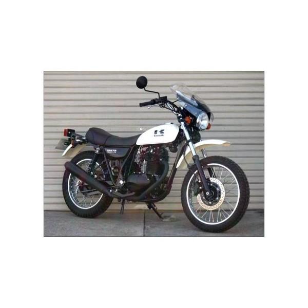 250TR（02年〜） ガイラシールド Mサイズ スモーク CHIC DESIGN（シックデザイン）
